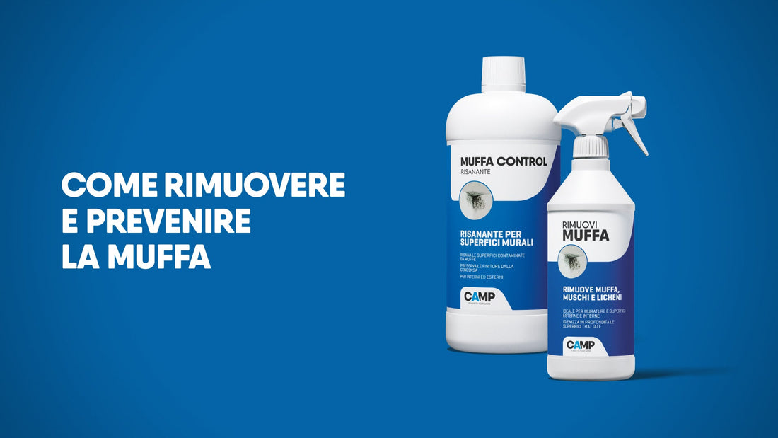 Come rimuovere e prevenire la muffa: consigli e soluzioni efficaci