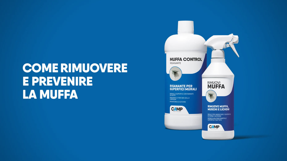 Come rimuovere e prevenire la muffa: consigli e soluzioni efficaci