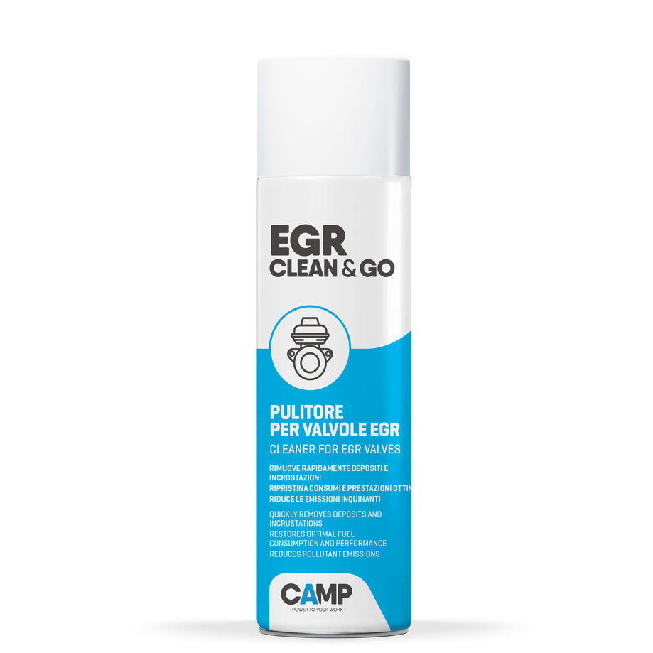 EGR CLEAN & GO - Pulitore Decarbonizzante per valvole EGR